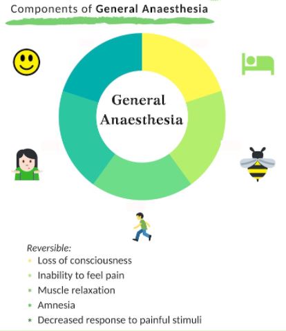 All You Need To Know About General Anesthesia Is Here